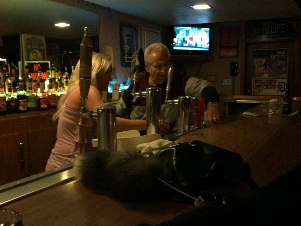 HILLTOP BAR 48214 Van Dyke Ave, Shelby Township, Michigan Bars Yelp