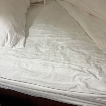 Shilo Inns Ocean Shores - Who has been sleeping in my bed? It wasn't me! - Hotels Near Me - Ocean Shores, Washington Shilo Inns Ocean Shores - Who has been sleeping in my bed? It wasn't me! - Hotels Near Me - Ocean Shores, Washington