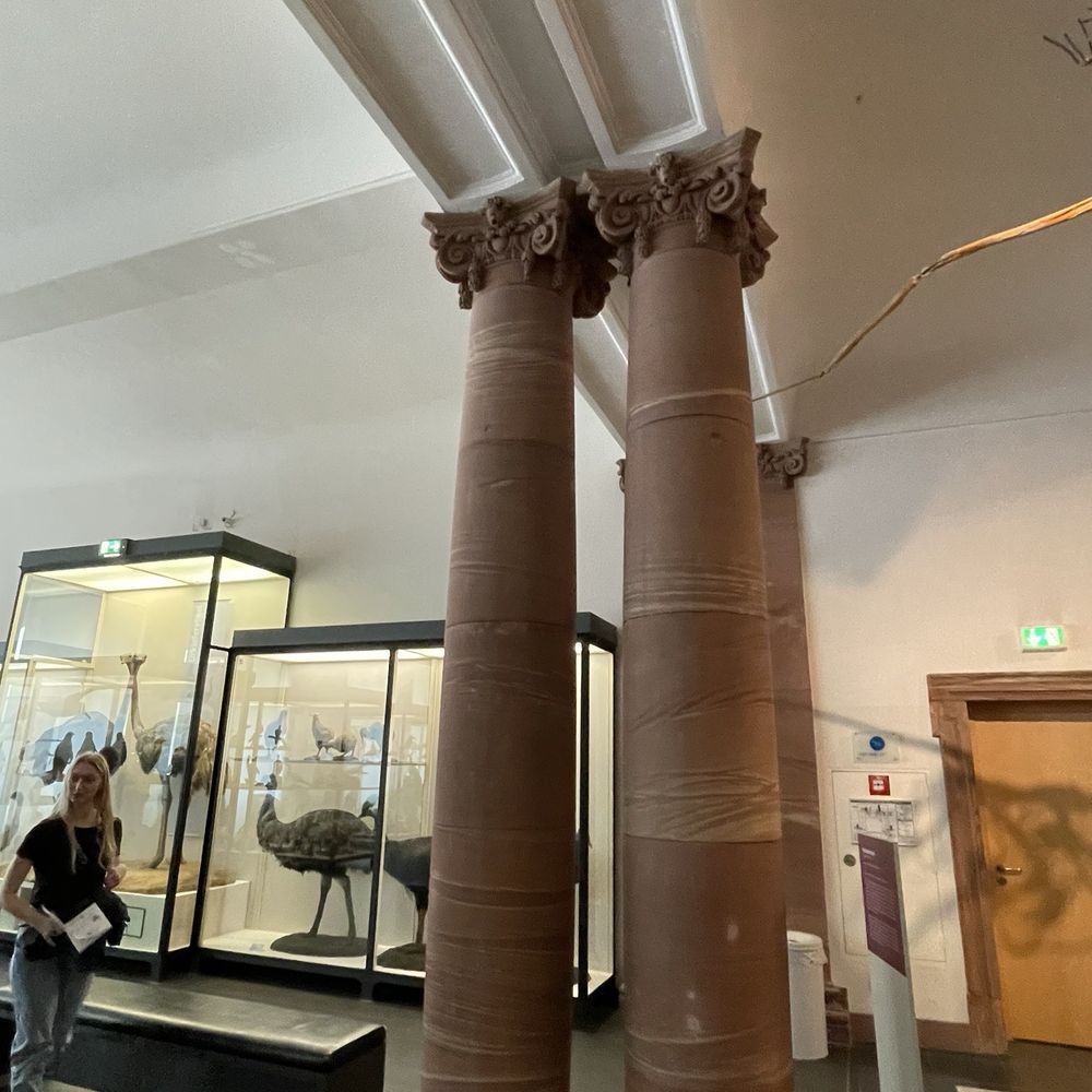 Senckenberg-Museum - Columns - Museums Near Me - Frankfurt, HE
