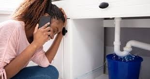 Slide of Viper Plumbing & Leak Detection Services