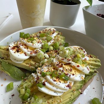 Mango Fresh - Juice Bars & Smoothies Near Me - Orlando, Florida Mango Fresh - Juice Bars & Smoothies Near Me - Orlando, Florida