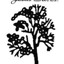 N&S Tree Service