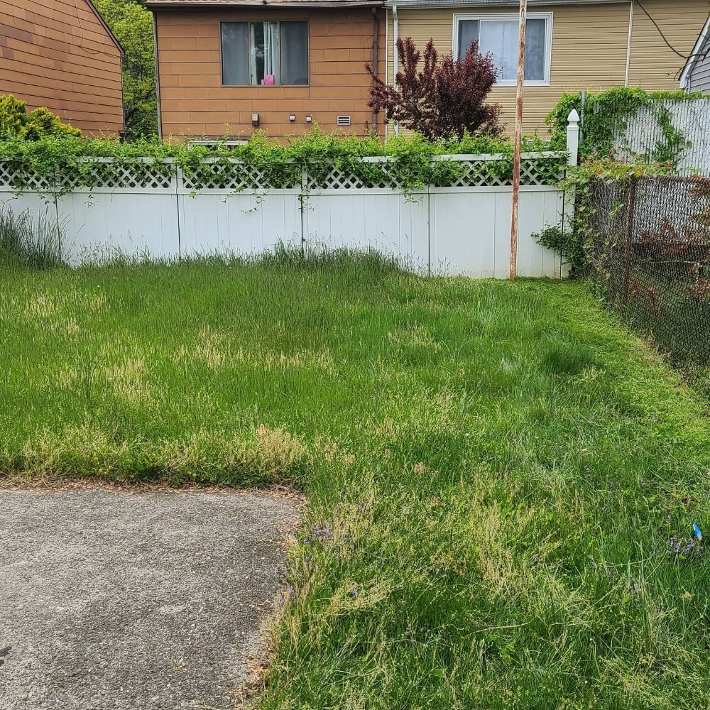 Slide of Brothers & lawns landscaping and maintenance