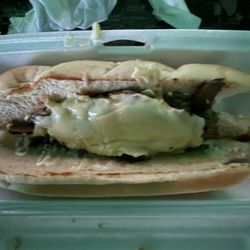 Bionic Burger Hamburgers - Philly