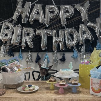 The Dog Bakery - Birthday hat, cake, mini cake, candle, all from the bakery. - Pet Stores Near Me - Los Angeles, California The Dog Bakery - Birthday hat, cake, mini cake, candle, all from the bakery. - Pet Stores Near Me - Los Angeles, California