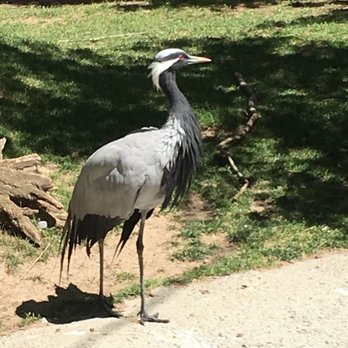 Idaho Falls Zoo - Zoos Near Me - Idaho Falls, Idaho Idaho Falls Zoo - Zoos Near Me - Idaho Falls, Idaho