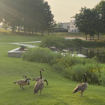 Hilde Performance Center - Geese - Parks Near Me - Minneapolis, Minnesota Hilde Performance Center - Geese - Parks Near Me - Minneapolis, Minnesota