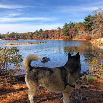 Breakheart Reservation - Parks Near Me - Saugus, Massachusetts Breakheart Reservation - Parks Near Me - Saugus, Massachusetts