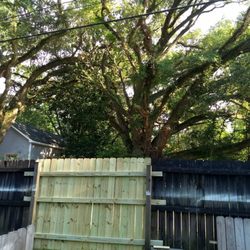 Magnolia Gas - The fence I had to replace because 13" clearance was not comfortable for him.