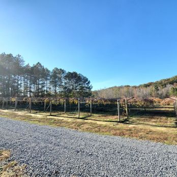 Qualusi Vineyard - Wine Tasting Room Near Me - Acworth, Georgia Qualusi Vineyard - Wine Tasting Room Near Me - Acworth, Georgia