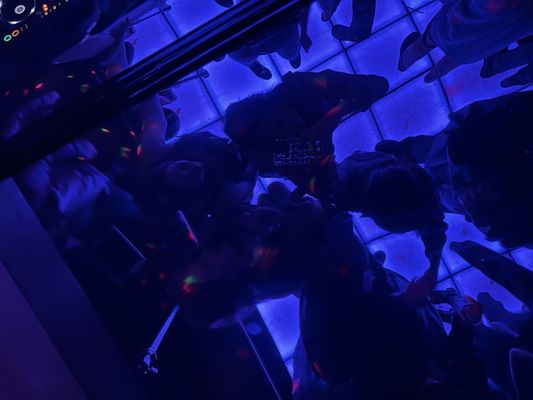 Kiss Kiss Bang Bang by null