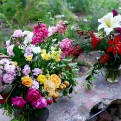 Pistil & Stamen Flower Farm and Studio - From their website