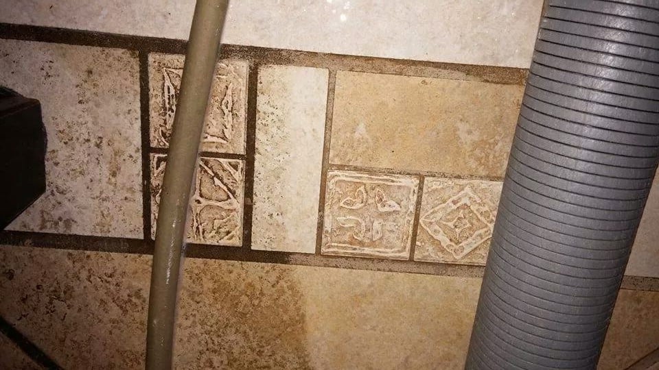 PRO STEAM CARPET CLEANING Carpet Cleaning 3324F Morse Rd, Columbus