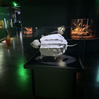 Oklahoma Aquarium - Aquariums Near Me - Jenks, Oklahoma