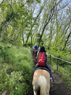 Vesuvius National Park by null