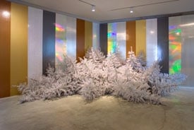Contemporary Art Museum St. Louis by null