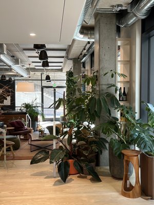 The Shop by Porter by null