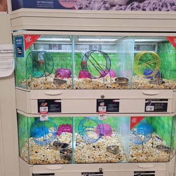 PetSmart - Pet Stores Near Me - Milpitas, California PetSmart - Pet Stores Near Me - Milpitas, California