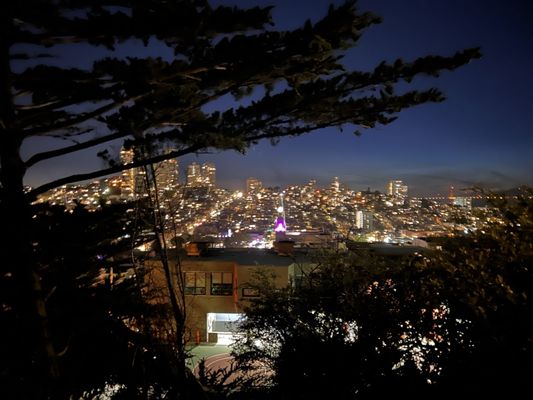 Coit Tower by null