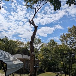 last branch cut last branch cut