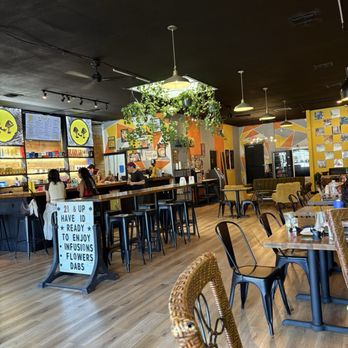 Lazydaze - Coffee & Tea Near Me - San Antonio, Texas Lazydaze - Coffee & Tea Near Me - San Antonio, Texas