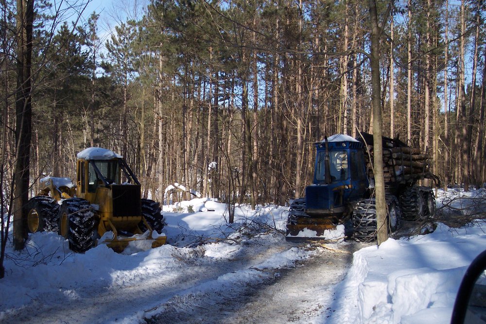 BELLER LOGGING & LAND CLEARING Updated September 2024 4798 Beech