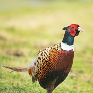 Cool Parks Around Seattle