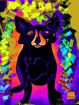 Continental Mail Co.