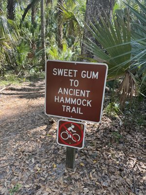 Highlands Hammock State Park by null