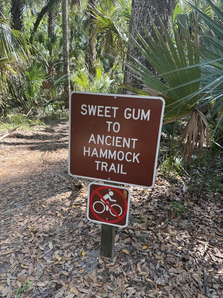 Highlands Hammock State Park Logo
