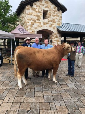 HeartBrand Beef by null