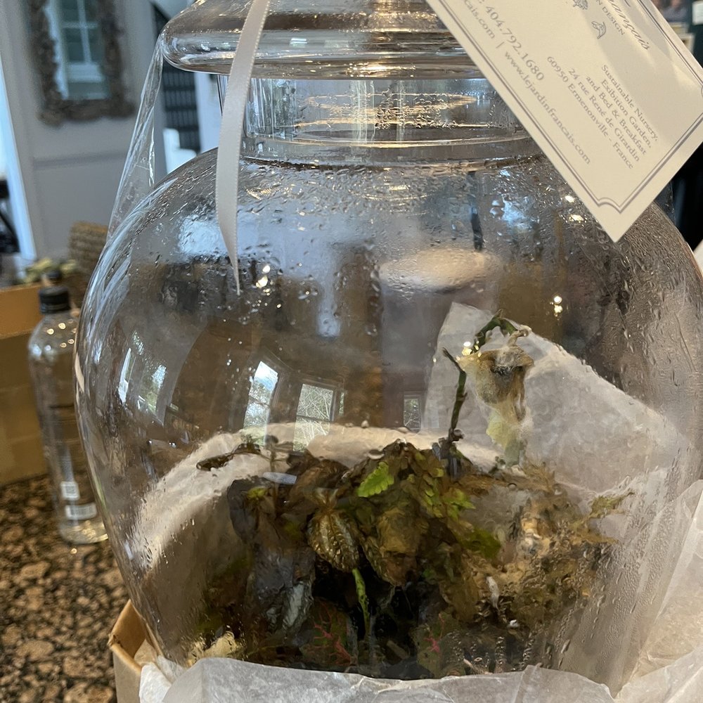 Terrarium