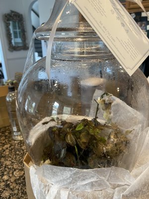 Le Jardin Français Boutique by null