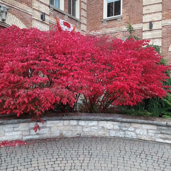 洋楽 farmers market Walker's Country Market, 15796 Niagara River Pky, Niagara-on