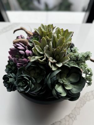 Loews Coral Gables Hotel by null