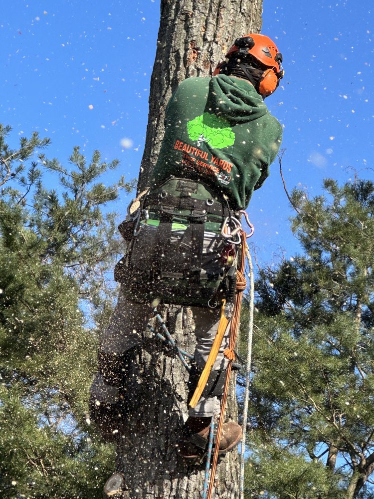 Beautiful Yards tree service  - tree service in Capitol Heights, MD