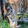 Photo of Erie Zoo