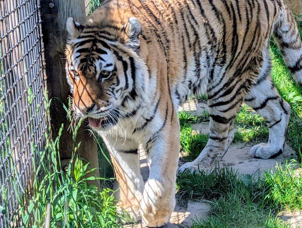 Social spots from Erie Zoo