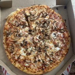 Domino's Pizza - Onion and Mushroom Medium Pizza