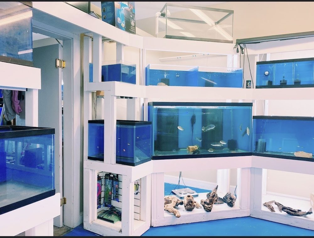 DARRELL’S AQUARIUM Updated April 2024 2314 Hwy 92 E, Lakeland