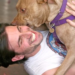 Karma Dog Training