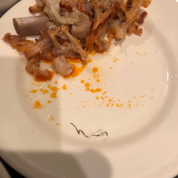 Imperial Restaurant - Piece of metal scrub from my shu mai. - Dim Sum Near Me - Chicago, Illinois