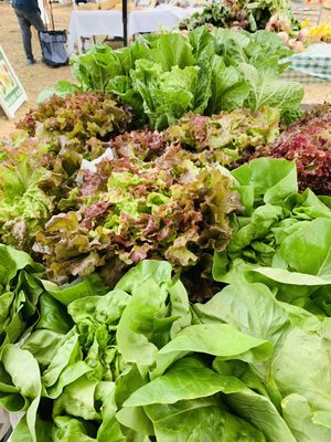 Islands Farmers' Market by null