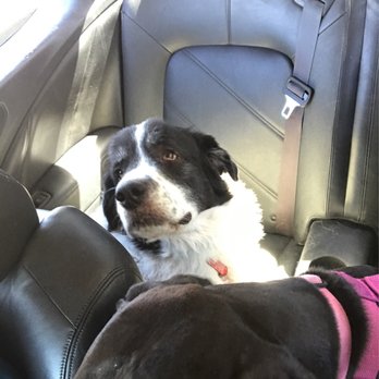 PetSmart - Pet Stores Near Me - Albuquerque, New Mexico