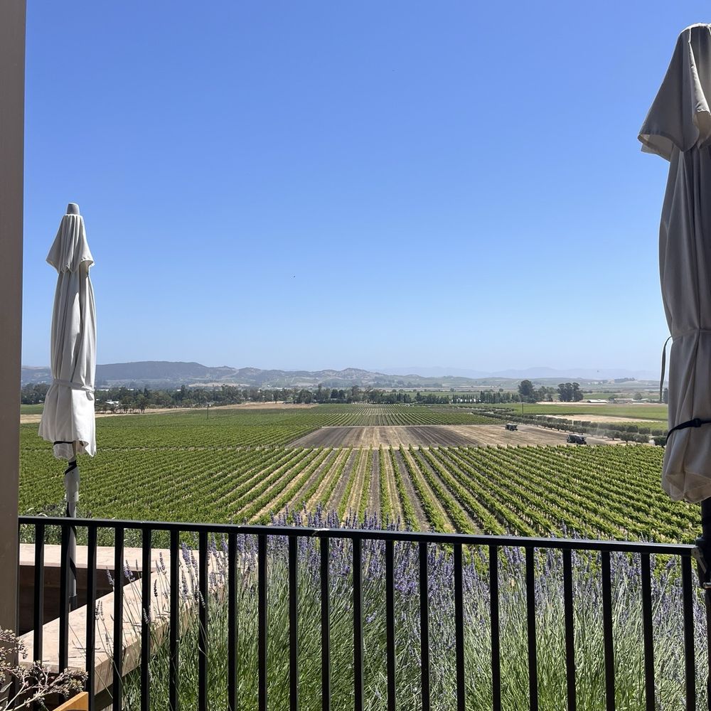 Gloria Ferrer Winery - View - Wineries Near Me - Sonoma, California Gloria Ferrer Winery - View - Wineries Near Me - Sonoma, California