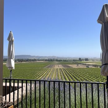 Gloria Ferrer Winery - View - Wineries Near Me - Sonoma, California Gloria Ferrer Winery - View - Wineries Near Me - Sonoma, California