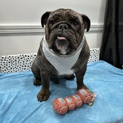 G Mobile Pet Spa - Tank