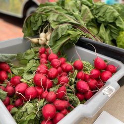 Old State House Farmers Market