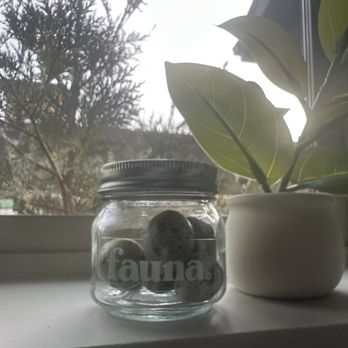 Fauna Pet Market - Quail Eggs (freeze dried) - Pet Stores Near Me - Eugene, Oregon