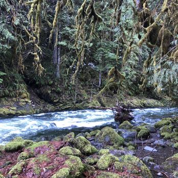Old Salmon River Trail - Hiking Near Me - Clackamas, Oregon